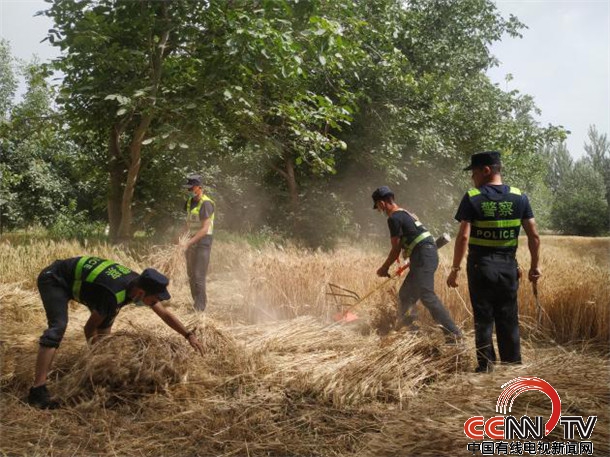  新疆叶城公安帮助困难群众抢收小麦受赞扬